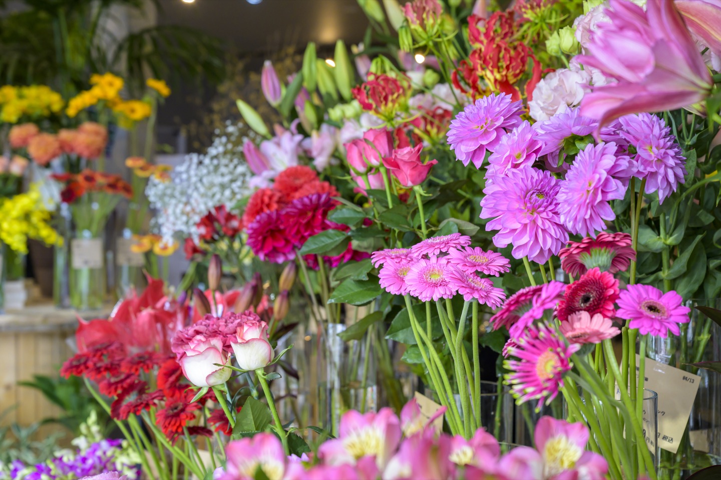 花束が並ぶヌボー生花店の店内